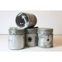 Piston Set X4 +60 -GPW-6105E-116701 